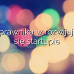 Rola prawnika w rozwijającym się startupie